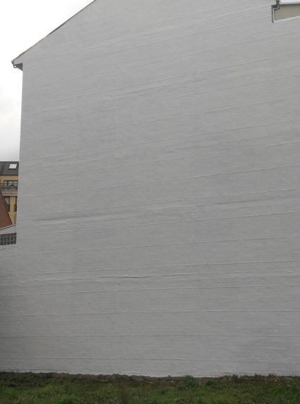 MEDIANERA-SARRIA-2-425x573 Página de Inicio