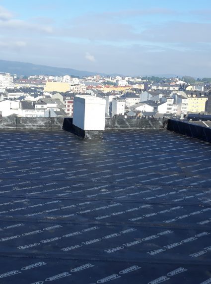 asfaltica_danolosa-2-425x573 Blog