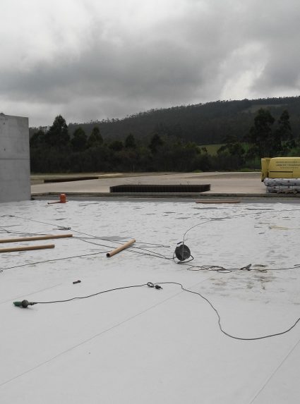 silo-2-425x573 Página de Inicio